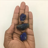 Sodalite - Gemstones - Tumbled